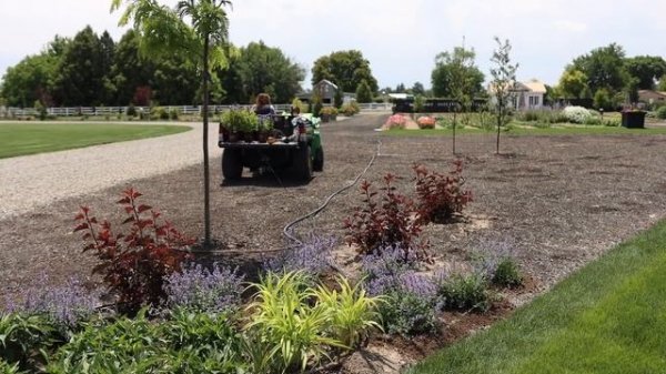 Planting Powerhouse Perennials: 4 Varieties of Nepeta & 1 Coreopsis! ??? // Garden Answer