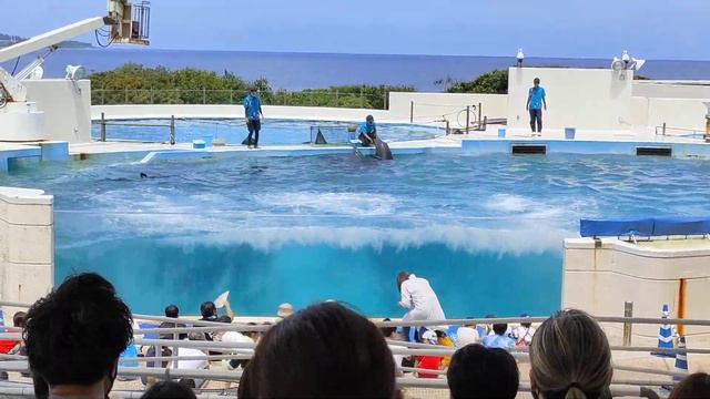 2022_Okinawa_Day4⑥