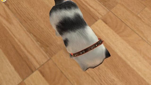 Андрей снова заводит кота|Petz Catz 2 (Одним глазком) смотреть онлайн