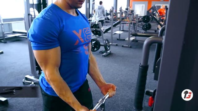 STANDING BICEPS CABLE CURL | СГИБАНИЕ РУК С НИЖНЕГО БЛОКА смотреть онлайн