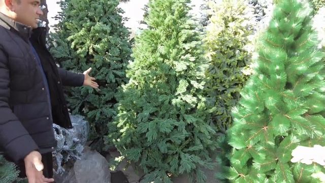 Купили ? ЁЛКУ! И ещё много чего! Обзор по Урикзор (оптовый) и Чинни (посудный) базару. смотреть онлайн