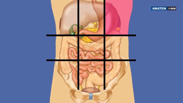 බඩ රිදෙන තැන අනුව ලෙඩේ දැනගන්නෙ මෙහෙමයි : Meaning of abdominal pain (2019) смотреть онлайн