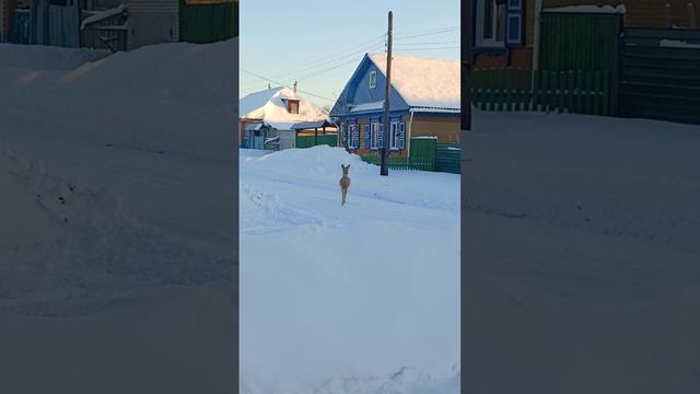 23 января 2024 г. смотреть онлайн