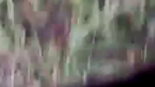 Корсо первая прогулка смотреть онлайн