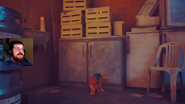 Stray часть 2 Episode 2