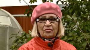 КАК ПРАВИЛЬНО ВЫСАДИТЬ СЛИВУ