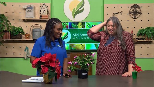 Mid-American Gardener - January 6, 2022 смотреть онлайн