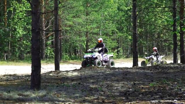 Квадроцикл PROMAX FOREST HUNTER 300 Vs PROMAX SPAWN 180cc обзор и тест моделей 2021-2022