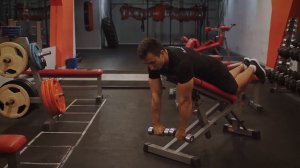 175 отведение гантелей на заднюю дельту с упором лежа на скамью