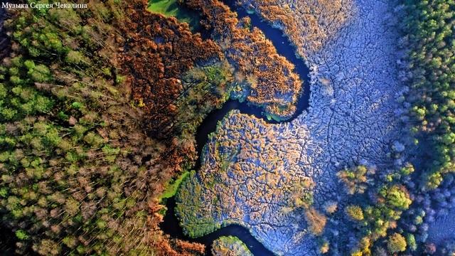 Осенняя музыка безумно красива! Мелодии снимают стресс! Лучшие композиции Сергея Чекалина смотреть онлайн