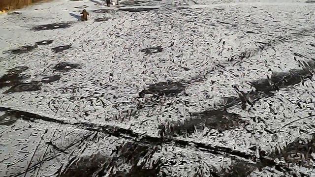 первый полёт квадрокоптера SYMA X8HC смотреть онлайн