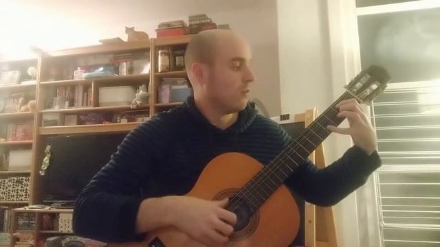 Carcassi Op 60 No 13 смотреть онлайн