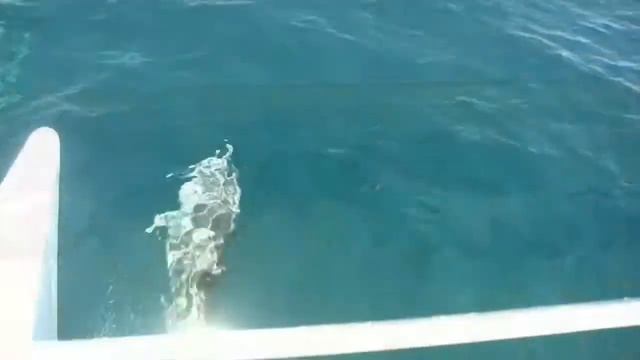 Лучшие туристические места Африки смотреть онлайн