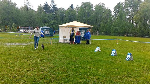 4.06.17г выставка г.Ижевск смотреть онлайн