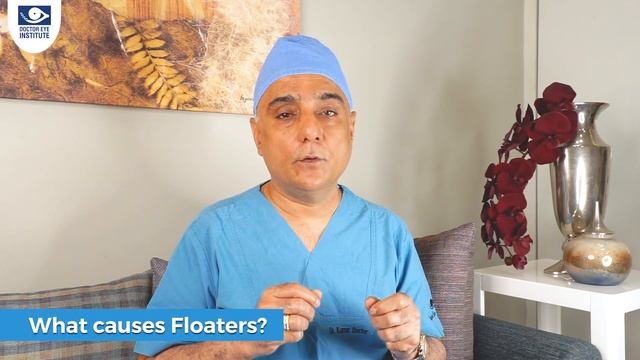 What Are Eye Floaters: Symptoms, Causes, and Treatment смотреть онлайн