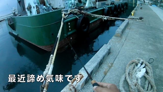 漁港のアジング　アジは突然やって来た！ смотреть онлайн