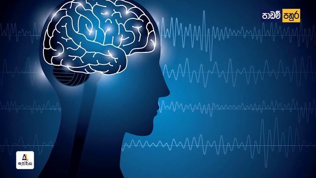 පාඩම් කරන හැමදේම අකුරක් නෑර මතක තියාගන්න Mind Map | study methods and Techniques | study motivation смотреть онлайн
