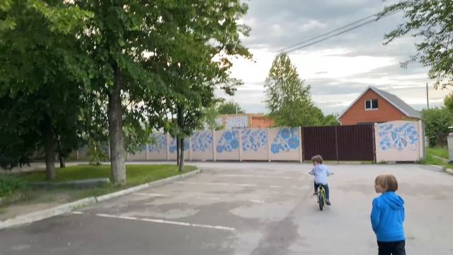 VLOG: ЗАБЛУДИЛИСЬ? || НАПАЛИ НА НАШ САД! ||  ДЕМЕНТЬЕВЫ || FAMILY VLOG