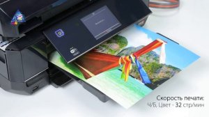 Epson P50 vs. L810 vs. XP-800 - выбираем принтер для фотопечати