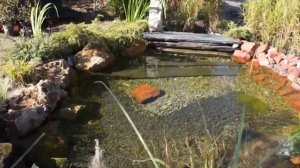 Маленький водоем с фонтаном в камне