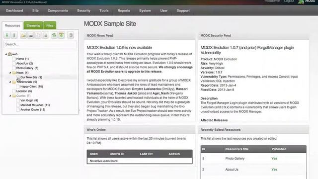 MODX Logging In and Basic Text Editing смотреть онлайн