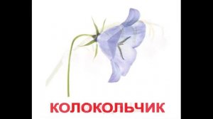 Карточки Домана Цветы часть 2