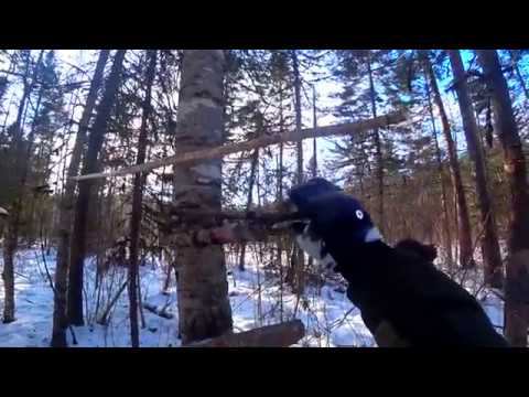 очередной зимний заезд на зимовье, часть вторая смотреть онлайн