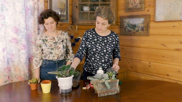 Как поливать комнатные цветы смотреть онлайн