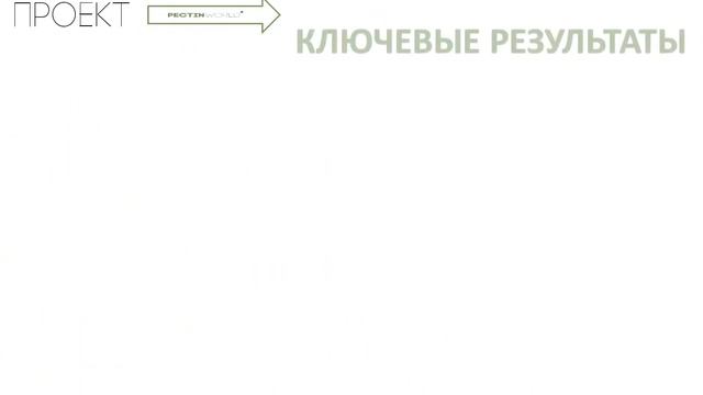 Презентация проекта по созданию производства пектина и пищевых волокон смотреть онлайн