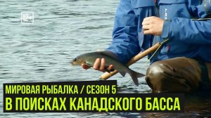 В поисках Канадского басса / Мировая рыбалка #5 / #20