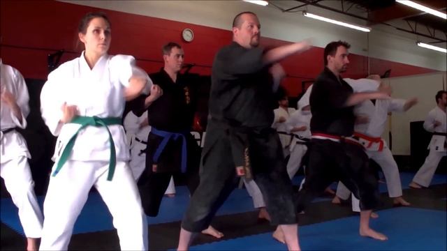 Jesse Enkamp: The Art of Karate (Interview) смотреть онлайн