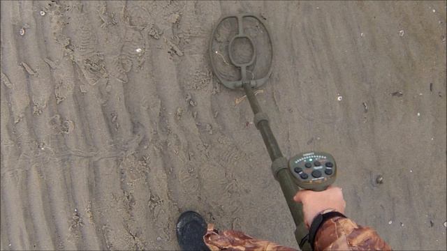 Gold Chain In Wet Salt Water Sand -- Garrett ATX ,TDI Pro, E-Trac, Surfmaster PI
