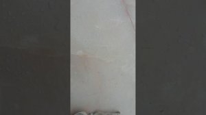 КАК ЛЕГКО и БЫСТРО СНЯТЬ ЗАСТОРЕЛУЮ ЗАЩИТНУЮ ПЛЁНКУ С ЛЮБОЙ ПОВЕРХНОСТИ/Adhesive Remover