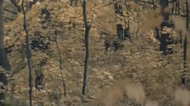 Красный конь. Песня из к/ф Ветер Странствий смотреть онлайн