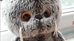 Песенка про кота (басик)