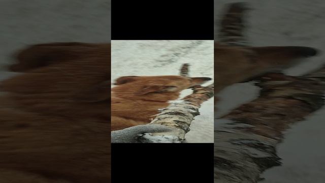 Самодостаточный Федя