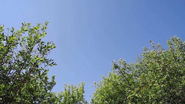Листопад за окном смотреть онлайн