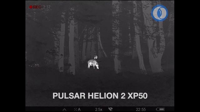 Termovizní monokulár Helion 2 XP50 смотреть онлайн