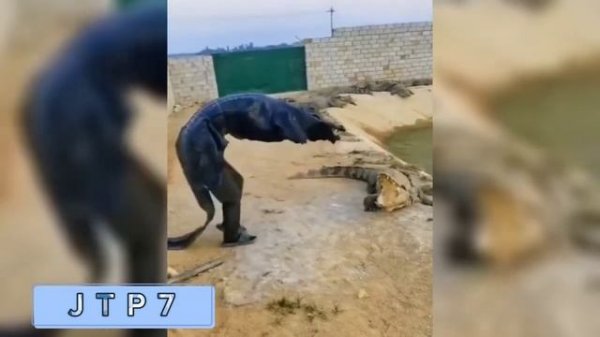 Compilation 78 JTP7 THE BEST COUB, Лучшие приколы 2024 ?? ржака просто невозможно представить себе