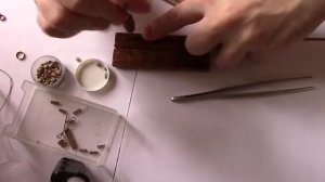 Как я делаю блоки для моделей парусника