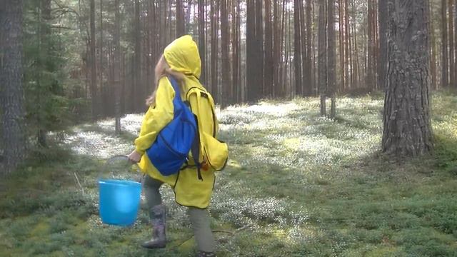 Коты Воители - Уроки выживания от "Девочки-воительницы"! смотреть онлайн