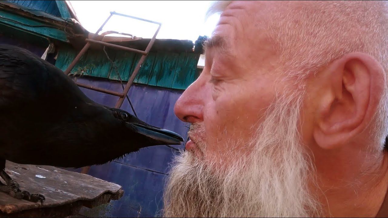 Теперь смелая. смотреть онлайн