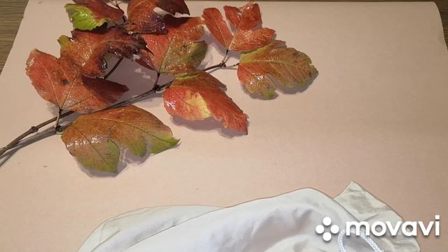 Вишивальна гра "Лото три завдання" тиждень 7 #вишивкахрестом #ігри смотреть онлайн