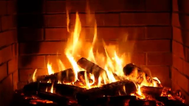 ЛЕШКА НА ОТПУСКЕ!? ДЕТИ В РАБСТВЕ!? КОЛЕСНИКОВЫ В БЕДЕ!