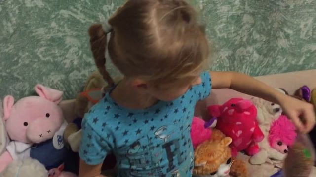 Улитки ахатины и палочники в домашних условиях смотреть онлайн