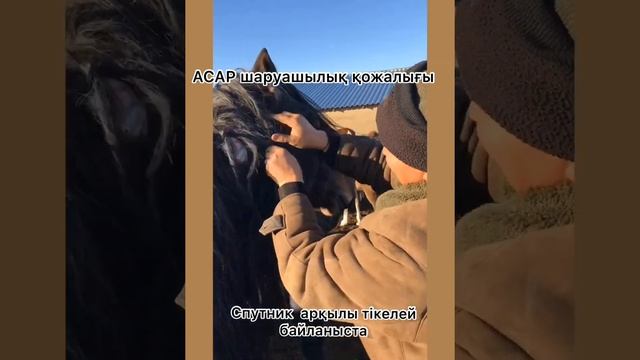 Gps трекер орнату. Установление GPS трекера для скота смотреть онлайн