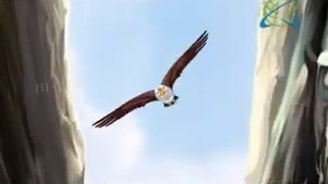 Баладжи.Венкатеша.МахаВишну.Шриман Нараяна. смотреть онлайн