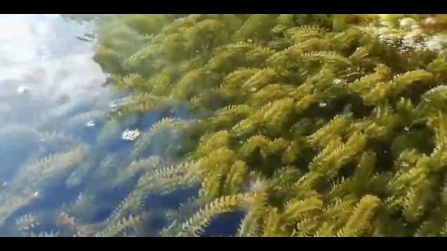 Июль. Отдыхаем на карьерах смотреть онлайн