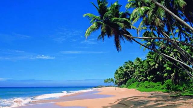 Гоа исключили из списка безопасных для россиян мест смотреть онлайн