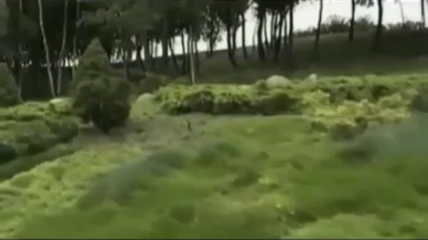 Страна народная